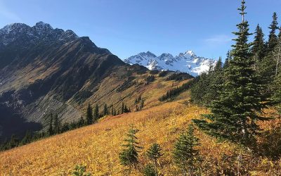 “The Gold Rush Is Over”: First Nations chiefs celebrate mining exploration court decision