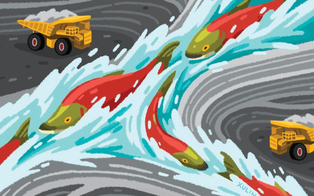 As Glaciers Melt, Potential Salmon Habitat Collides With Outdated Mining Laws