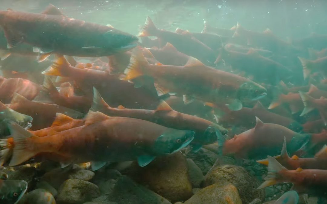 Eyes Turn To B.C. As U.S. Pauses Approval Of LNG Projects