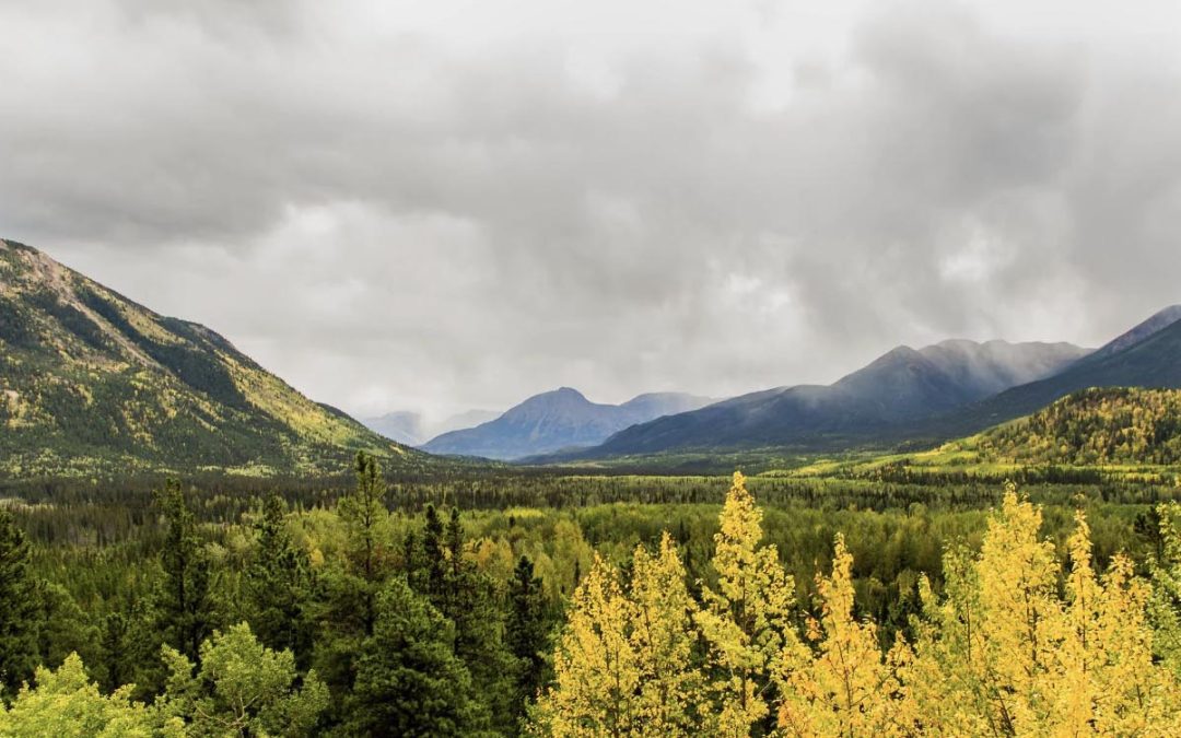 A Ghost Pipeline Rears Up In Northern B.C.