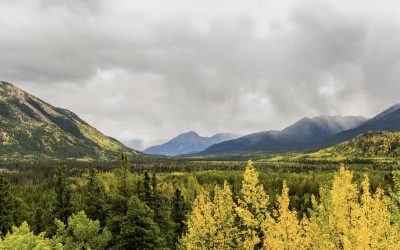 A Ghost Pipeline Rears Up In Northern B.C.